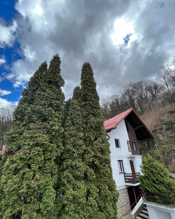 Timi Residence Brasov Ngoại thất bức ảnh